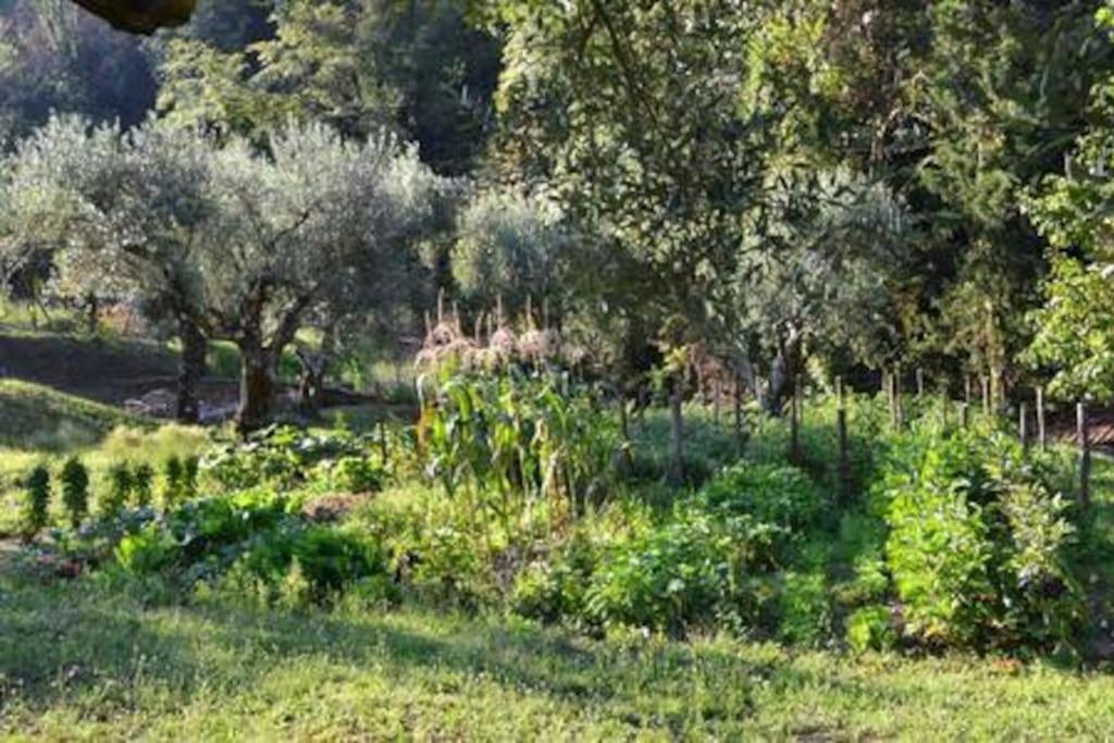 Villa De Luccheri Frasso Telesino Eksteriør bilde