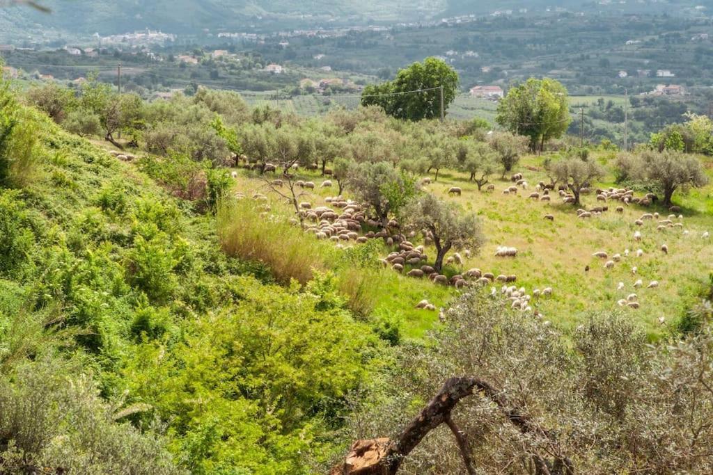Villa De Luccheri Frasso Telesino Eksteriør bilde