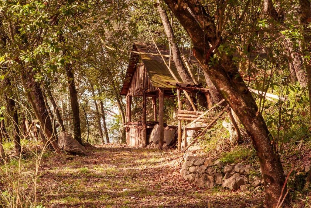 Villa De Luccheri Frasso Telesino Eksteriør bilde